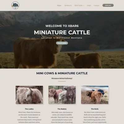 wordpress website remake client XBAR6