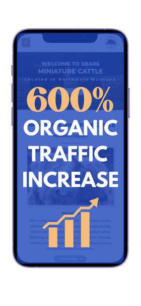 organic traffic increase example