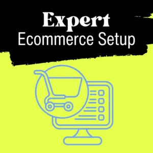 expert ecommerce setup