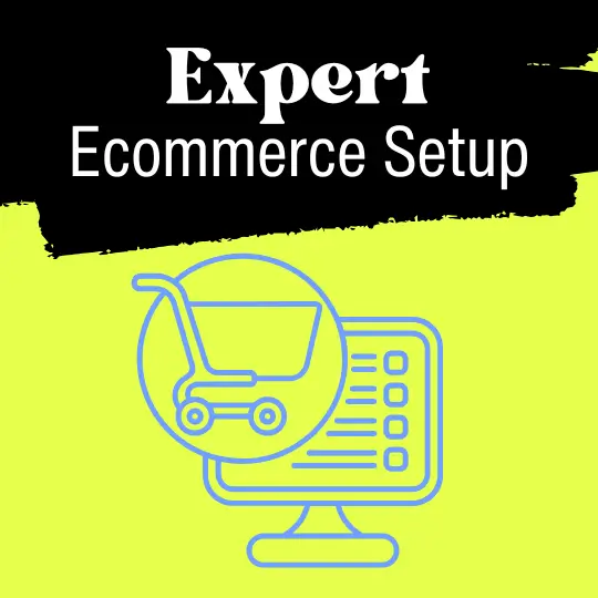 expert ecommerce setup
